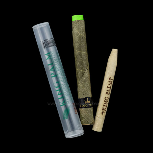 King palm