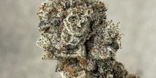 Flor de cannabis