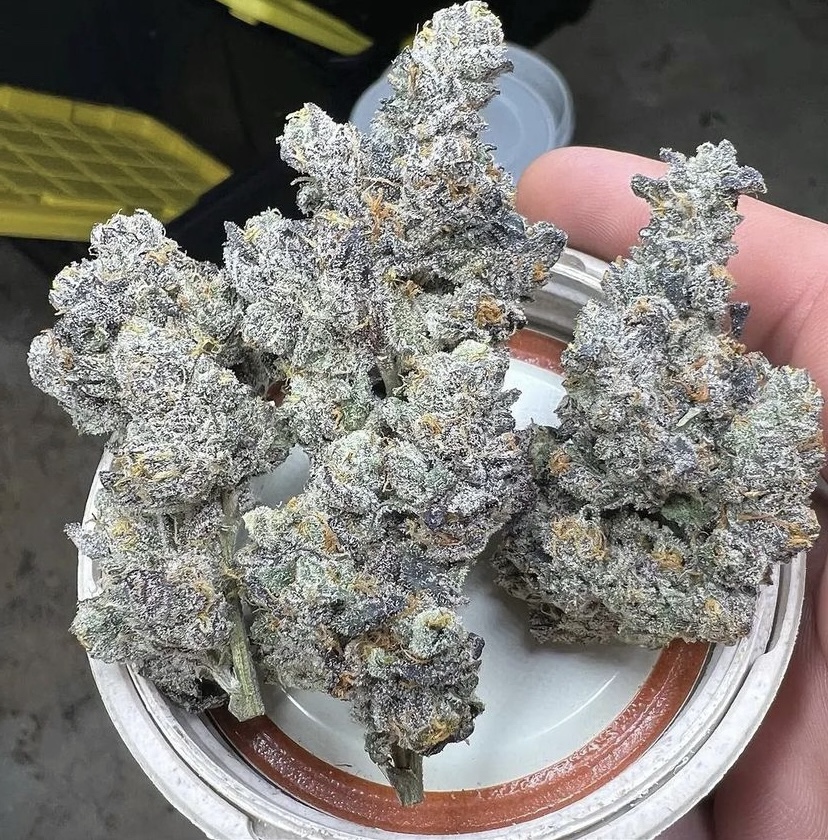 flores de cannabis