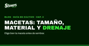 Imagen del artículo Macetas para plantas en casa: tamaño, material y drenaje